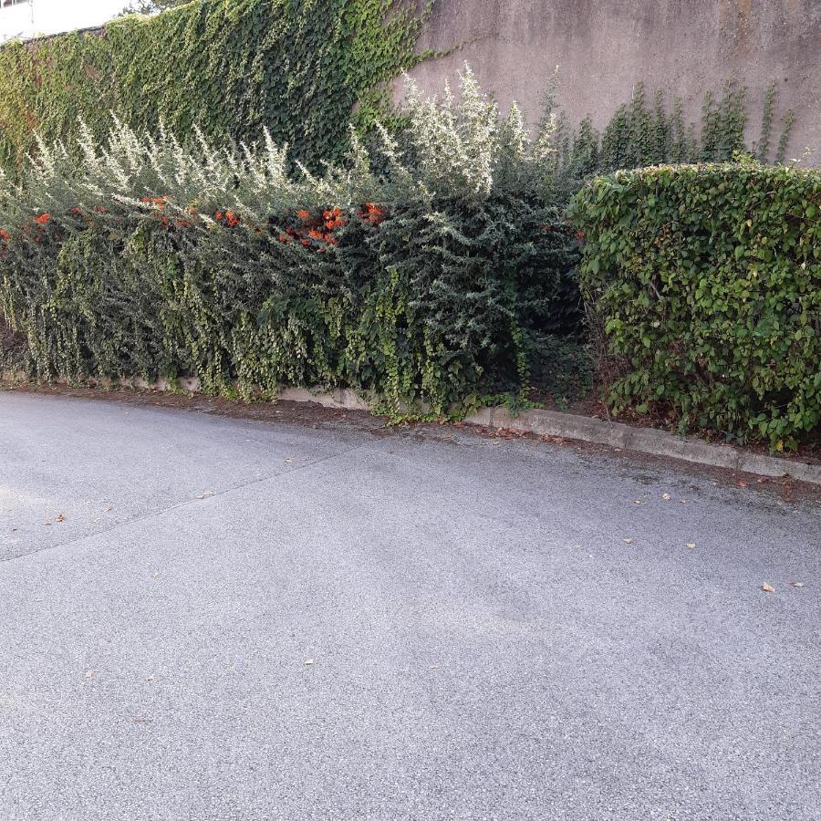 Le Phenix A Internet Haut Debit & Parking Digione Esterno foto