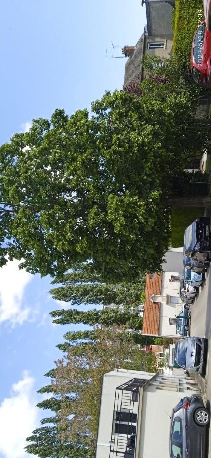 Le Phenix A Internet Haut Debit & Parking Digione Esterno foto